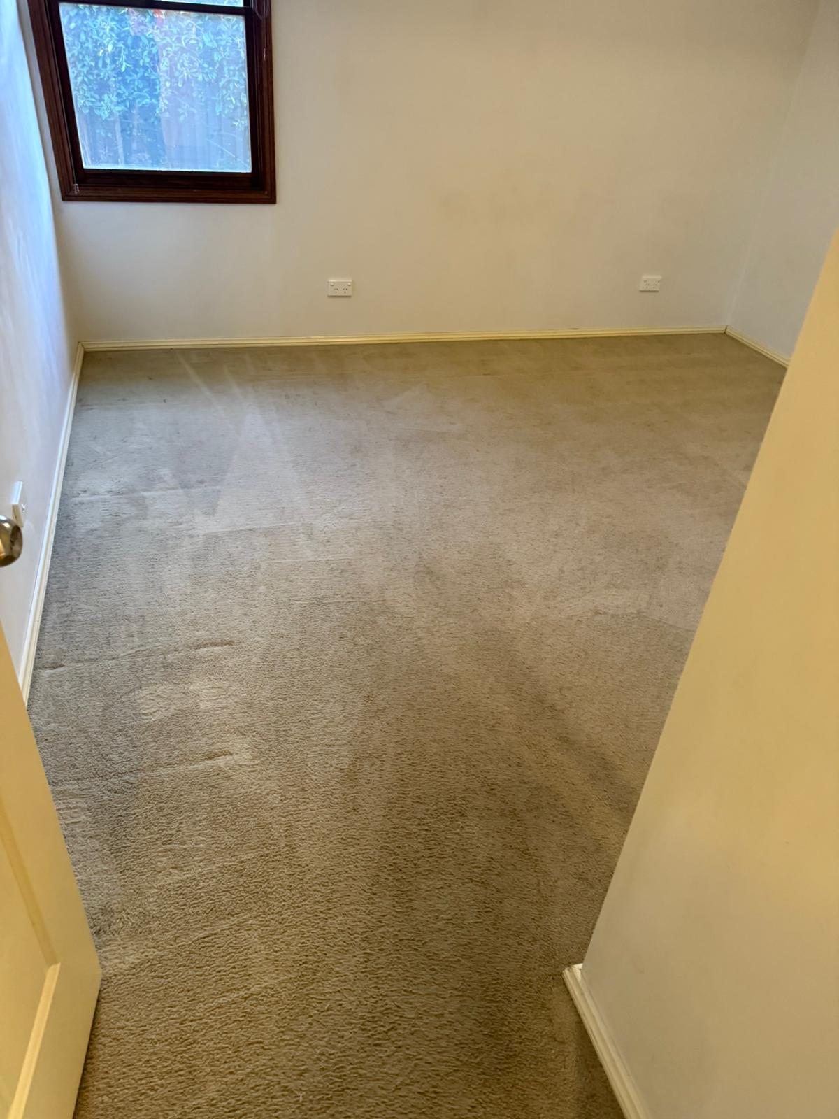 Carpet cleaning Brisbane